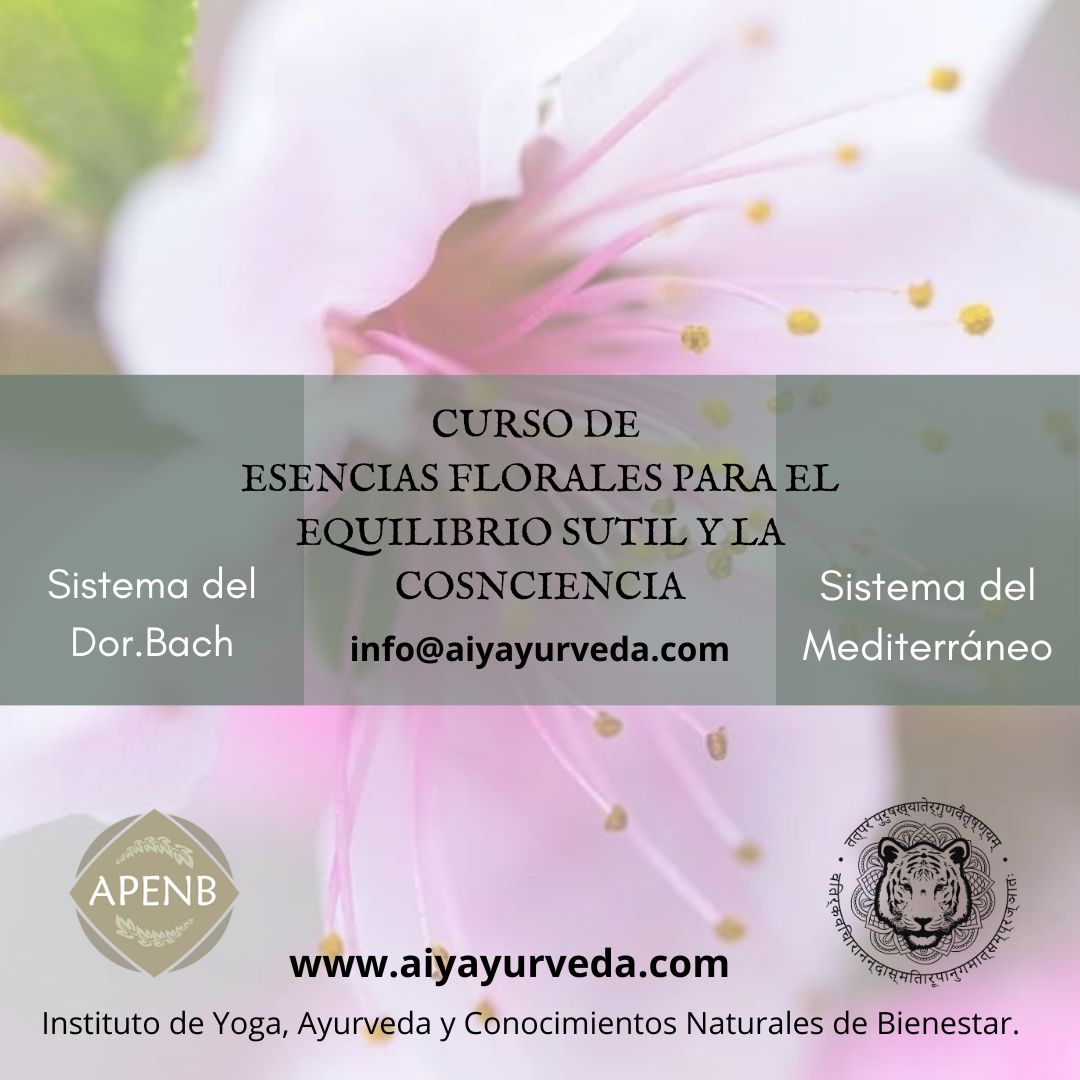 Biblioteca de Webinars de repaso y profundización. Curso Esencias Florales 100% online 2024-2025